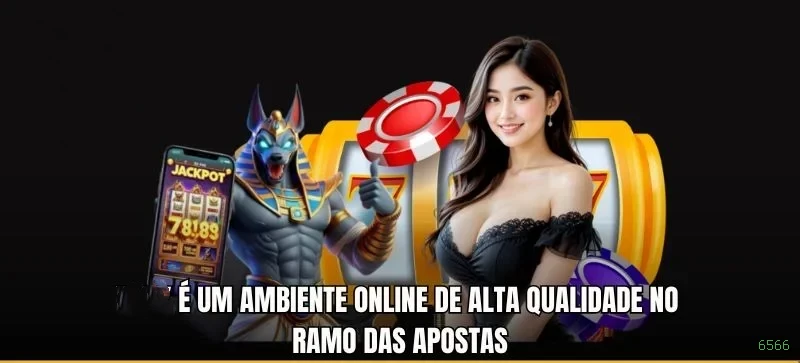 Suporte VIP 6566 - atendimento prioritário